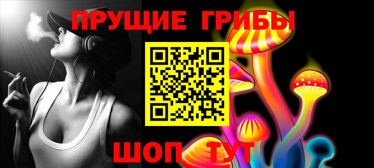 Сокол  Галлюциногенные грибы Psilocybe  магазин    Вход с VPN 